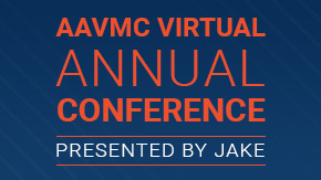 Virtual Conferences? Yeah, We Can Do That!
