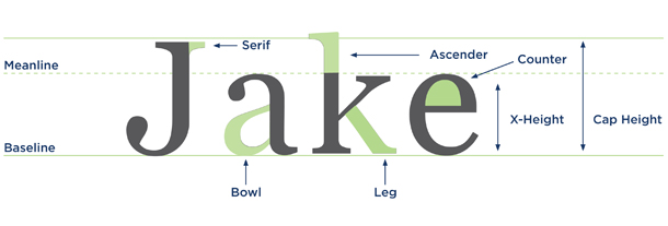 Typography 101: Font Basics | Jake Group