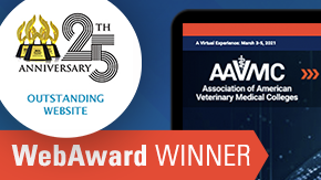 Jake Group Wins Award for Virtual Conference Web Design