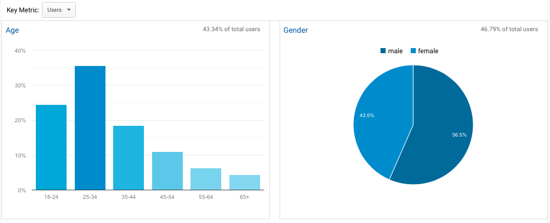 Google Analytics Demographics Overview Report